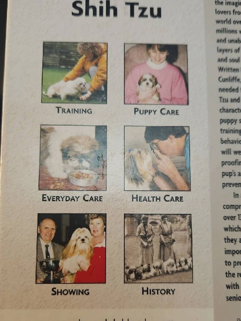 Shih Tzu Coffee Table Book - All About The Breed -